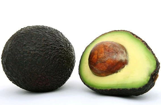 Avocado Oil, Refined Napuve