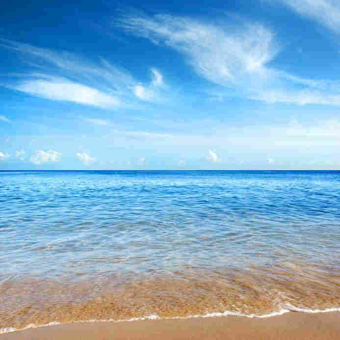 Sea Breeze Fragrance Oil
